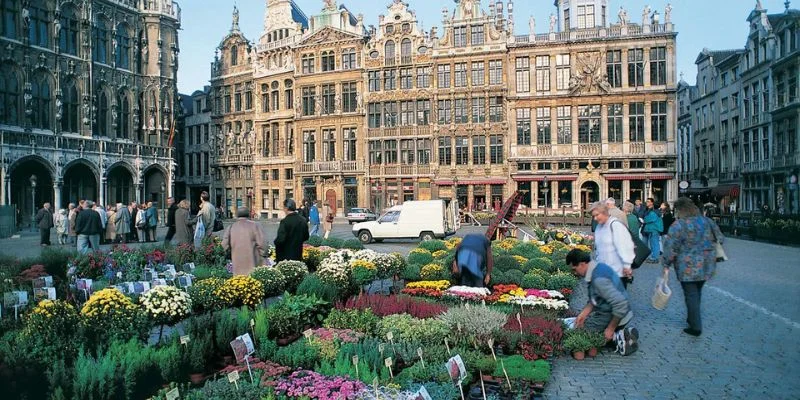Air Sinai Brussels Office in Belgium
